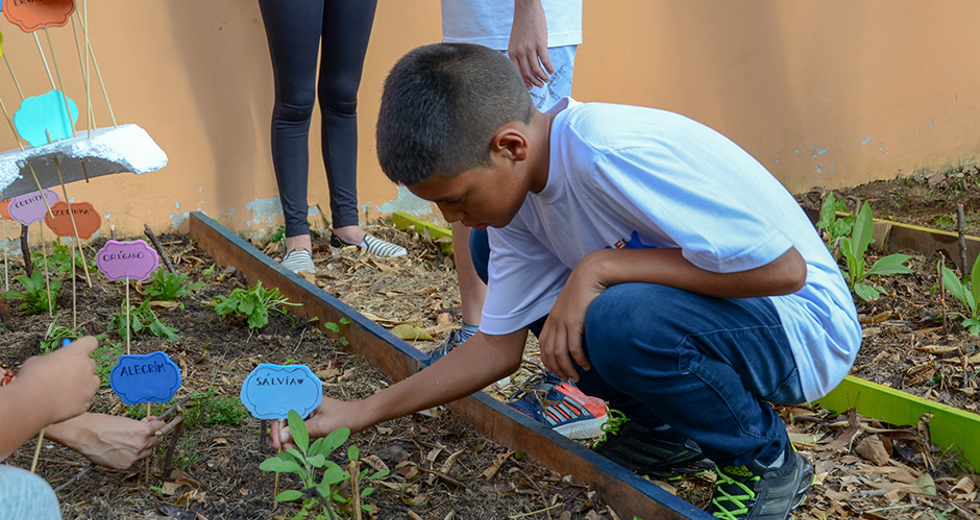 horta-urbana-escola-alvaro-goncalves-06-04-2019-lucas-cabral-04.jpg