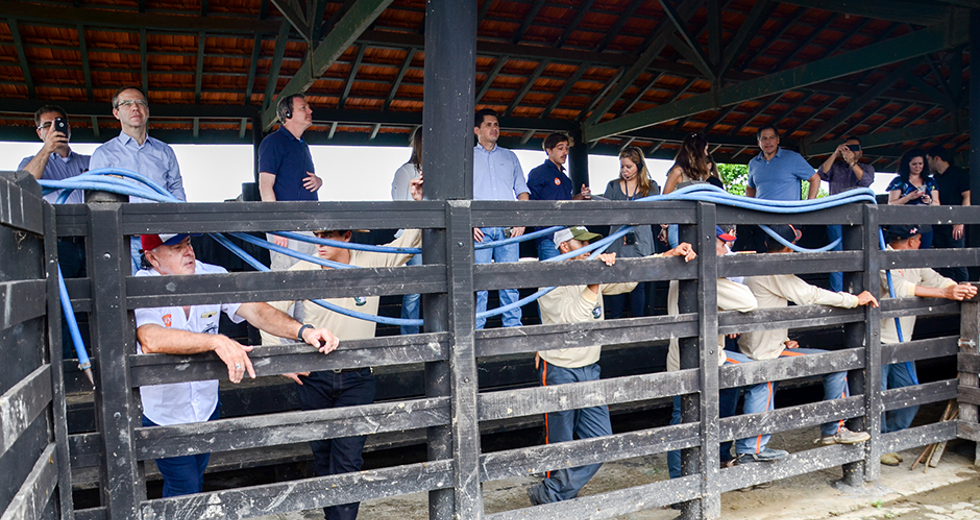 visita-tecnica-fazenda-sao-geraldo-08-04-2019-lucas-cabral-07.jpg