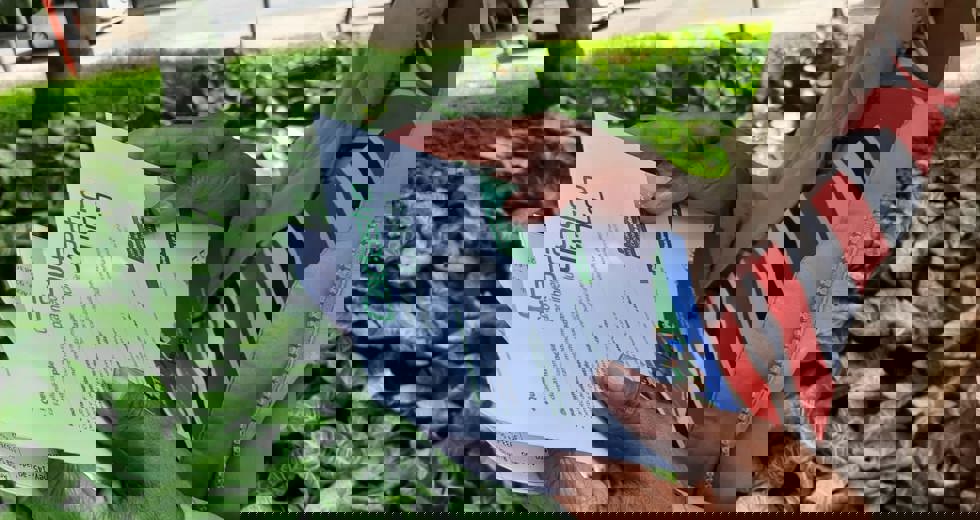 cadunico9.jpeg