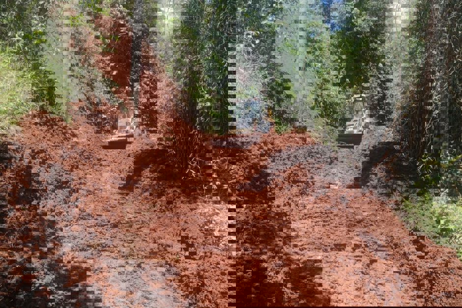 Foto: Divulgação a-11.jpeg