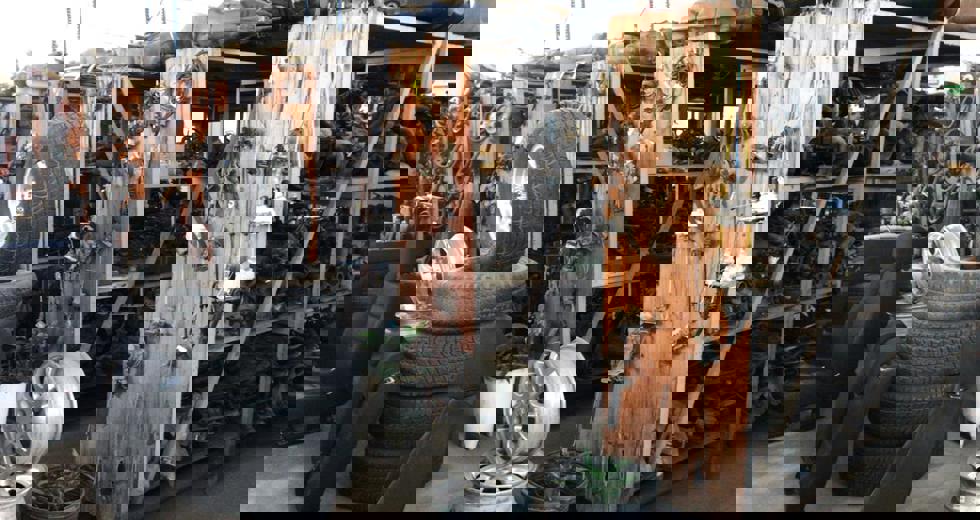 detran5.jpeg
