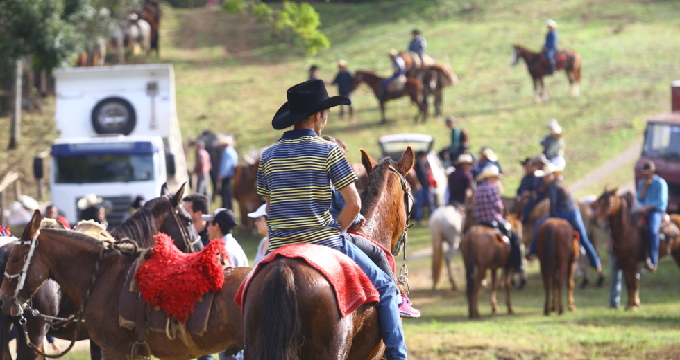 cv__4283-claudio_vieira.jpg