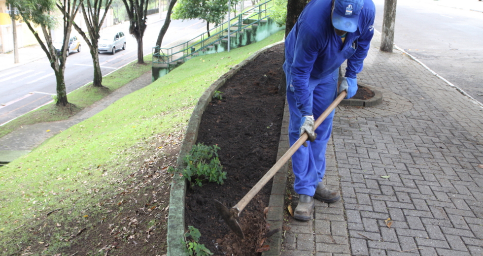 plantio_flores_jardineira_05beto_faria.jpg
