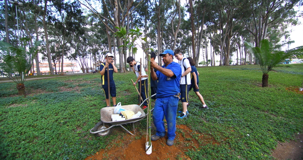 cv__5013-claudio_vieira.jpg