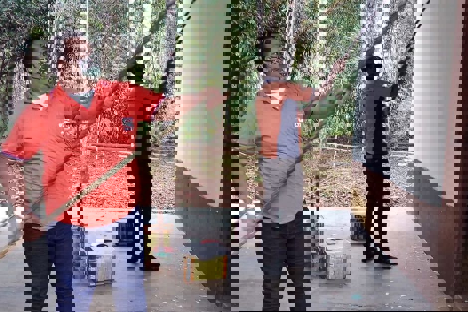 nupdecsfx1.jpeg