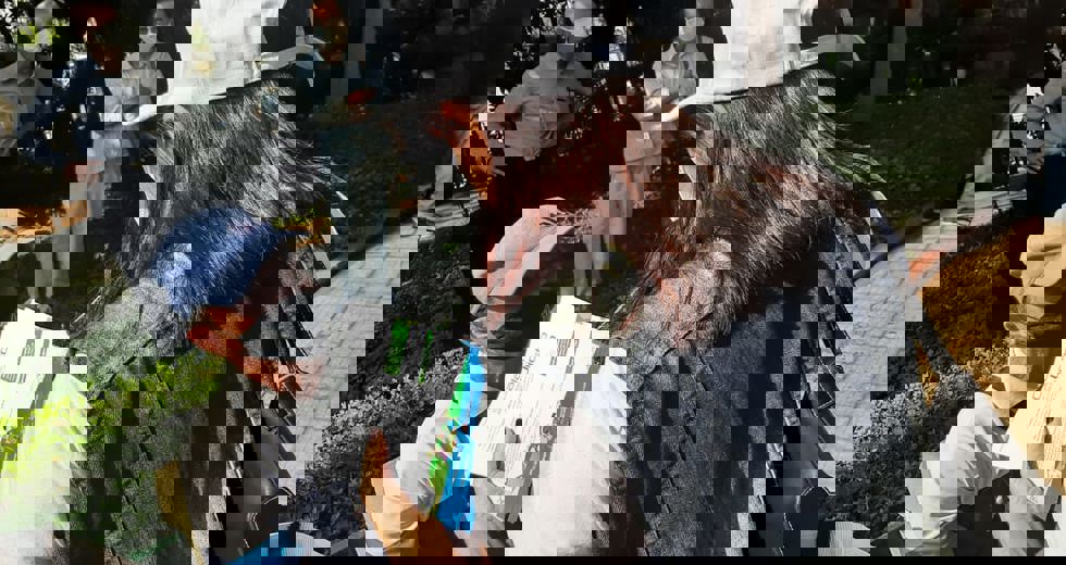 cadunico14.jpeg
