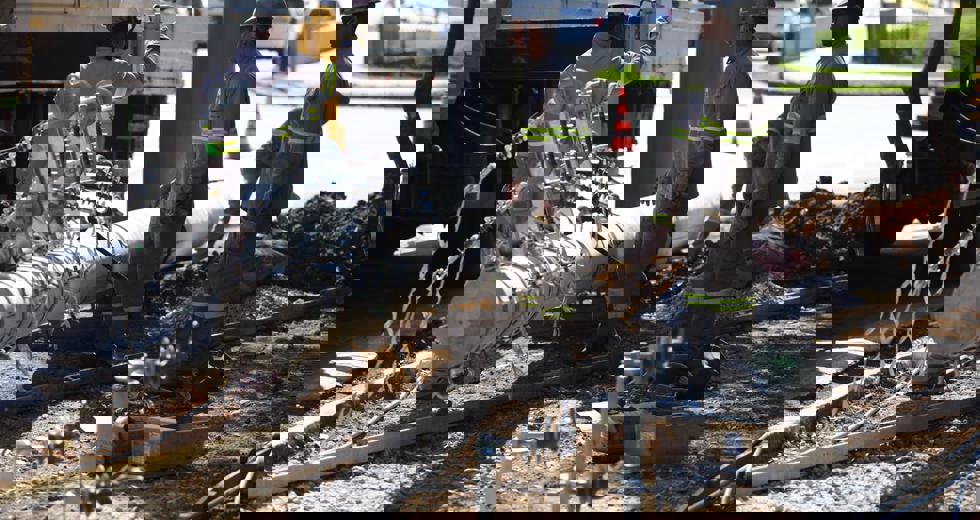lineu9.jpeg