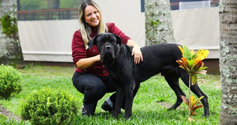 40ª fase do Meu Pet Feliz