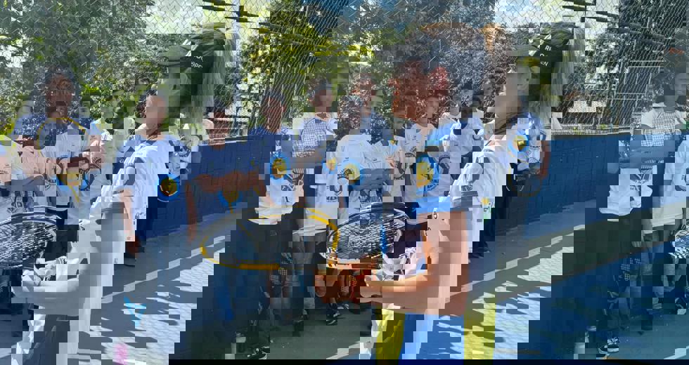 projeto-tenis-1.jpeg