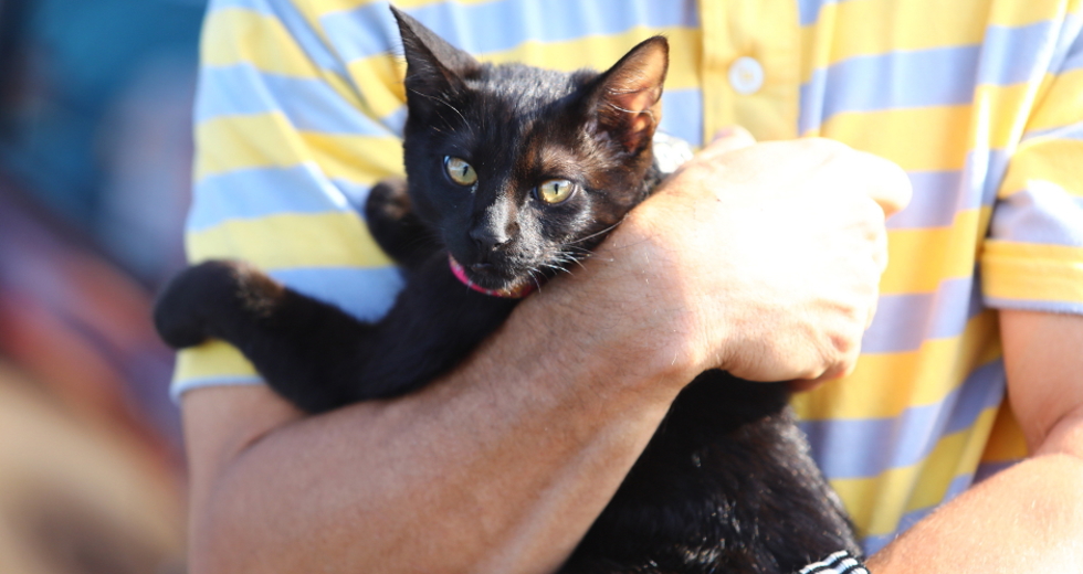 Castramóvel no bairro Dom Pedro I na região Sul. Foto: Claudio Vieira/PMSJC 19-05-2024 
