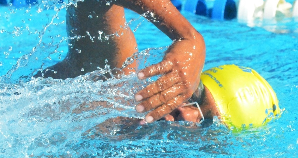 tmf_9945.jpg