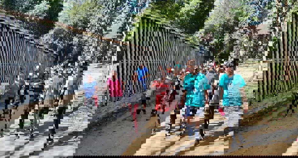 casadoidoso27.jpeg