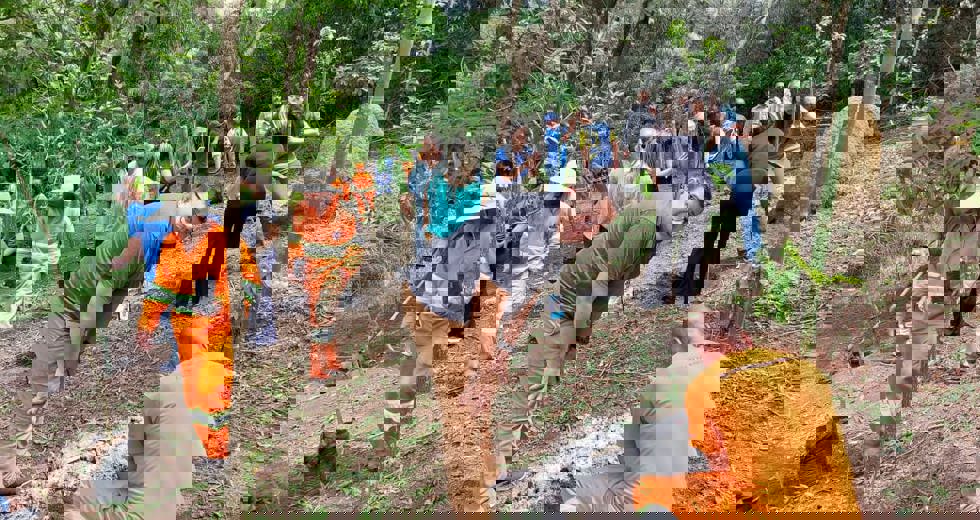 ca2e8e33-e385-43c4-8361-391273adff2a.jpg