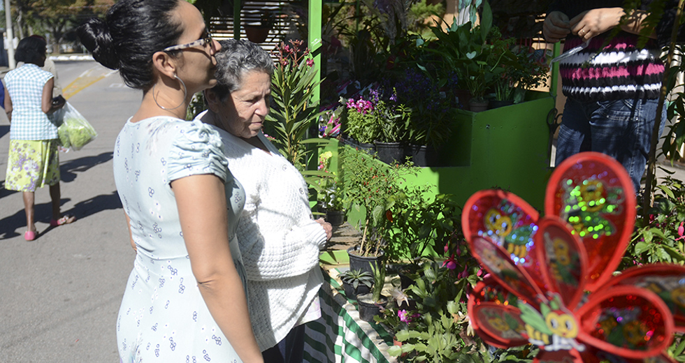 feira-livre-diurna-valparaiba-24-07-2019-lucas-cabral-44.jpg