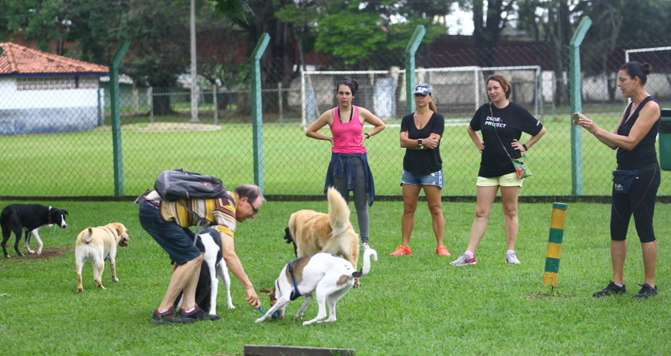 cv__4299_claudio_vieira.jpg