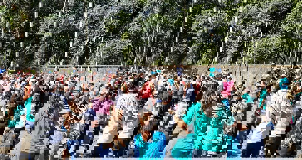casadoidoso55.jpeg
