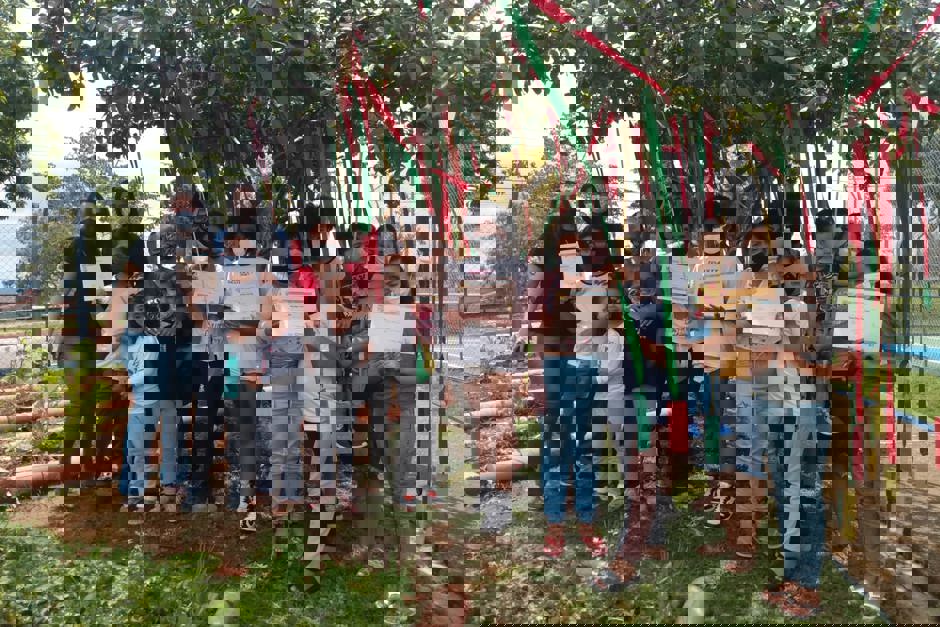 fundhasdompedro9.jpeg