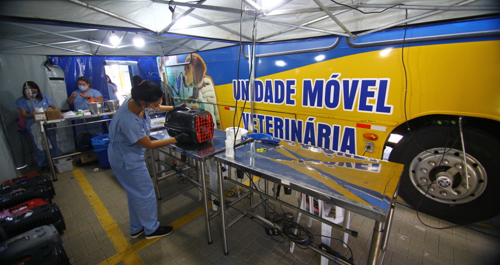 cv__9939_claudio_vieira.jpg
