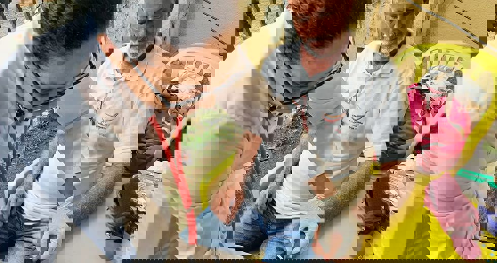 diabetes28jpeg.jpeg