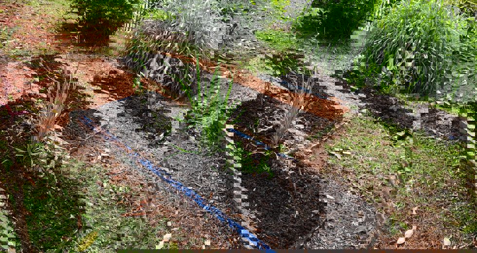 compostagem-3.jpeg