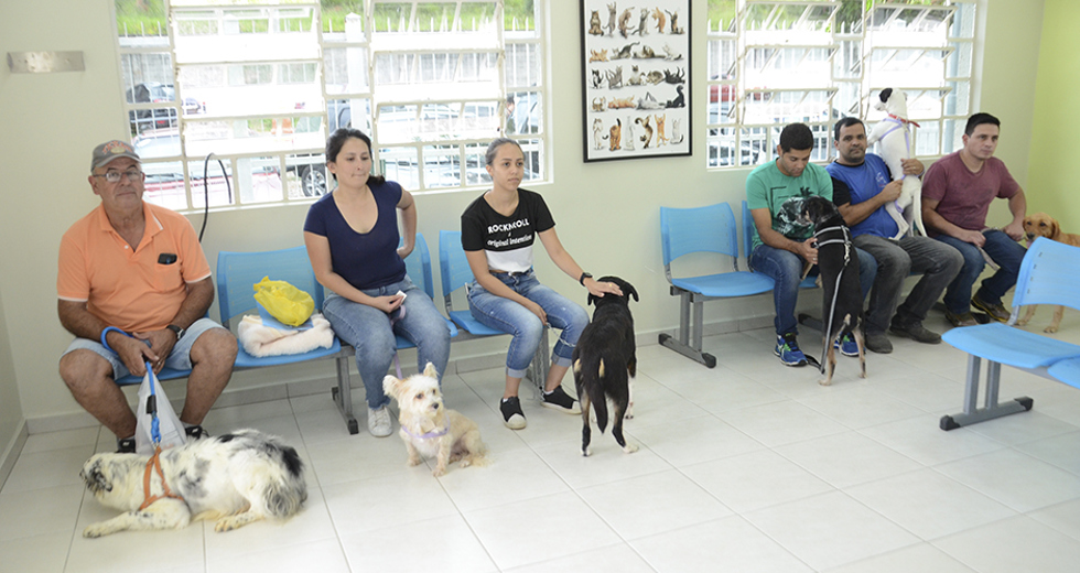 programa-meu-pet-feliz-05-12-2019-lucas-cabral-27.jpg