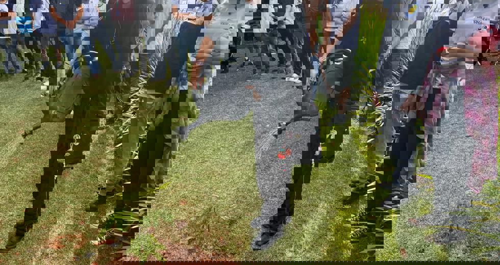 dia-meio-ambiente-7.jpeg