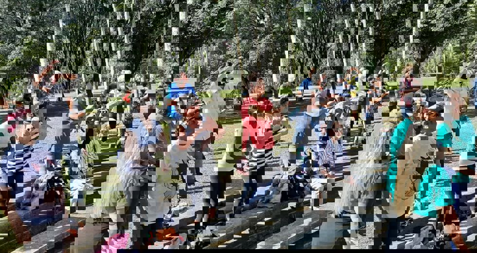 casadoidoso35.jpeg