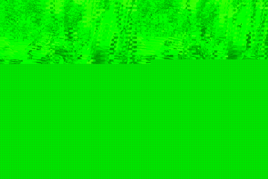 sfx-3.jpeg