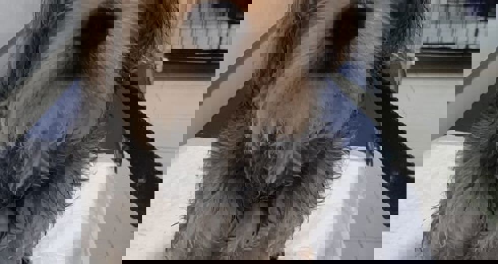 eb68d9f5-bb32-4c48-9fd2-18f86d8e231f.jpg