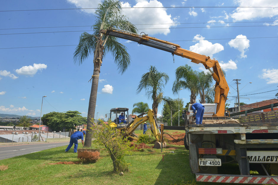 Foto: Divulgação img_7682.jpg
