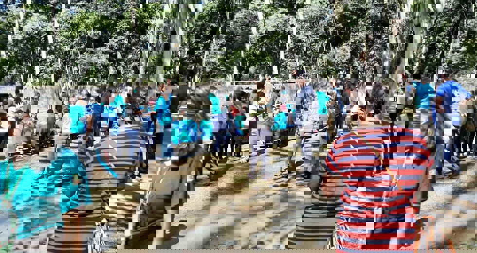 casadoidoso4.jpeg