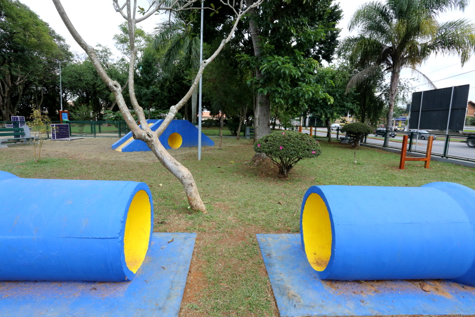 img_2898_adenir_britto.jpg