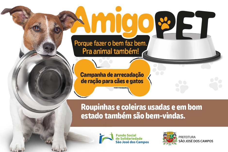 amigo-pet-3.jpg