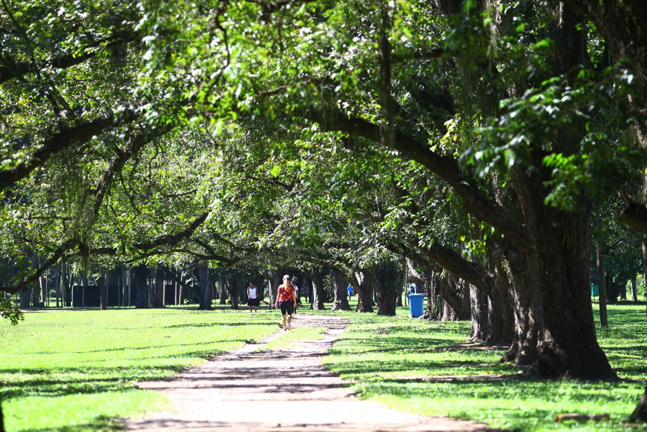 parque-da-cidade-tour.jpg