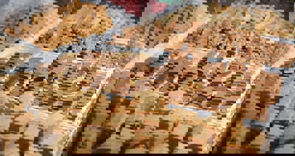 491493370_18347691493158927_4096094696501852443_n.jpg