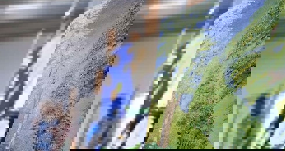 Primavera Cultural destaca o talento de alunos do Decolar