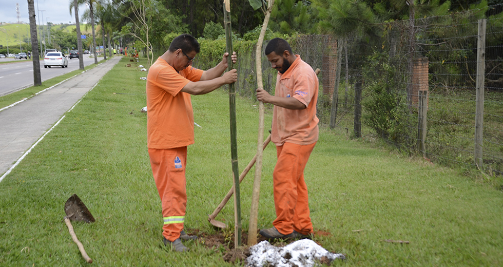 plantio-de-arvores-via-norte-20-12-2019-lucas-cabral-22.jpg