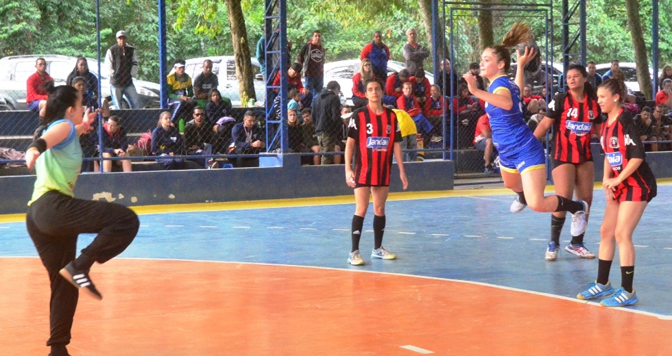 tmf_3938.jpg