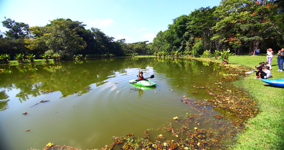 cv__7663-claudio_vieira.jpg