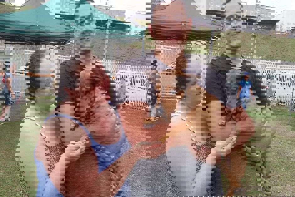 castracao-1.jpeg