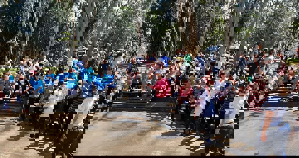 casadoidoso15.jpeg