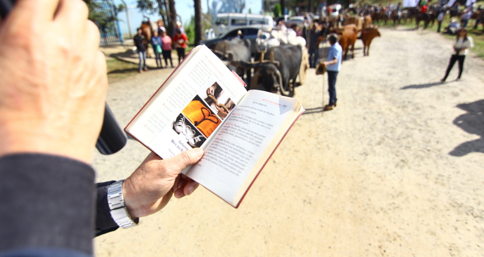 cv__4613-claudio_vieira.jpg