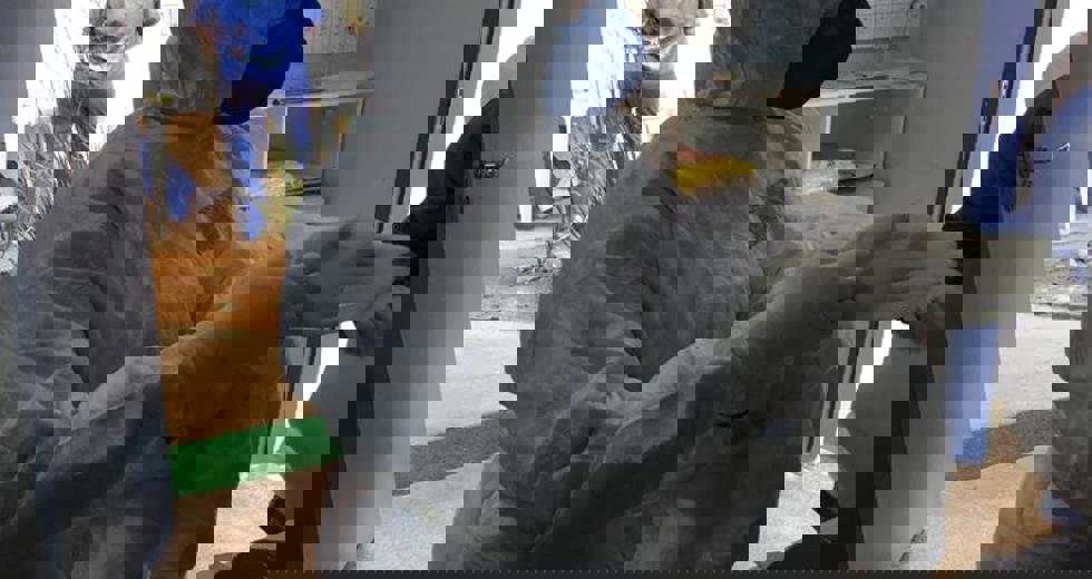 3-profissional-finalizando-a-paramentacao.jpeg