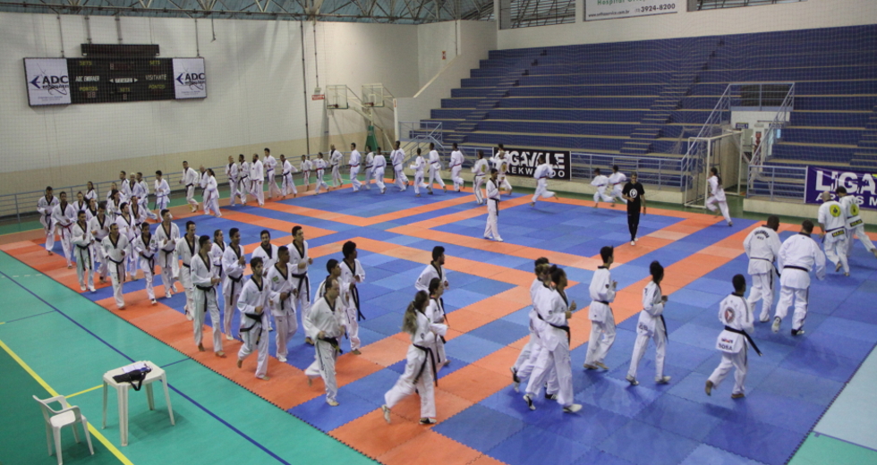 3_training_camp_taekwondo_embraeimg_6805beto_faria.jpg