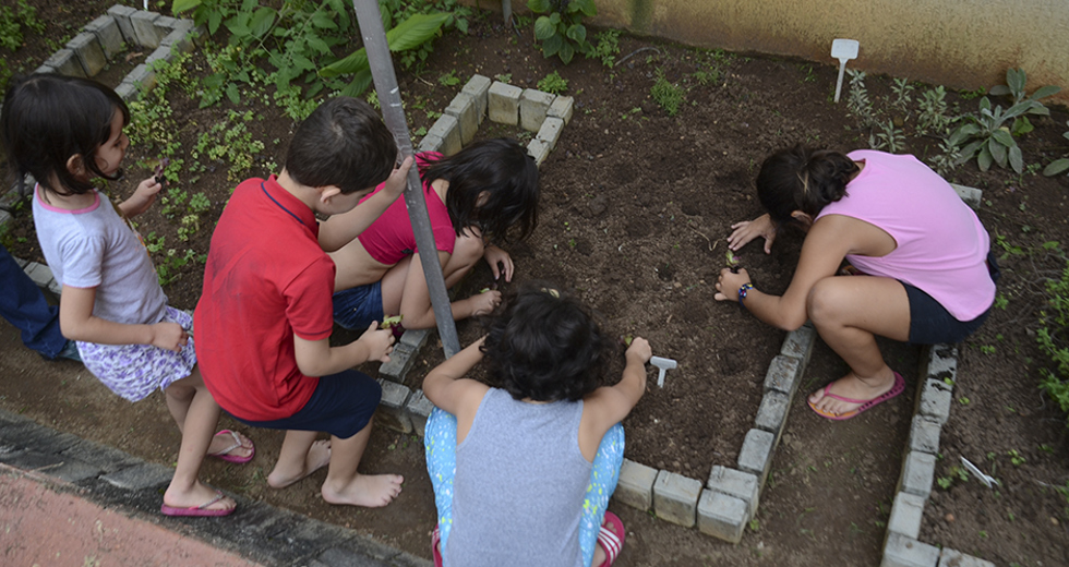 cultivo-de-hortas-e-composteira-12-12-2019-lucas-cabral-07.jpg