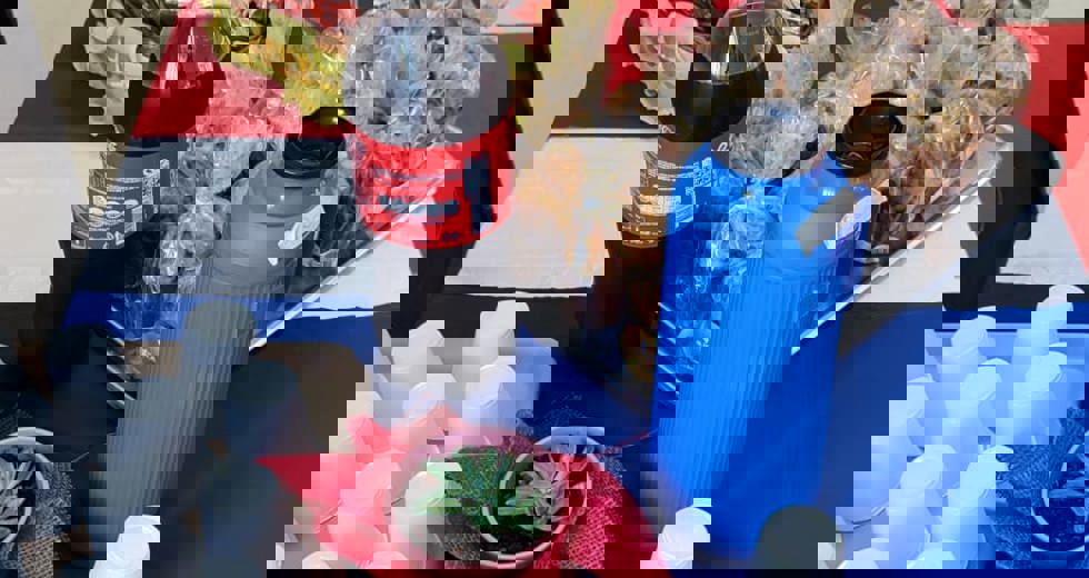 fundhascentro13.jpeg