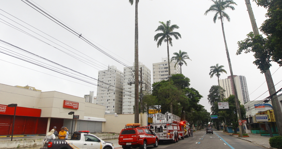 controle-de_pragas-01-claudio_vieira.jpg