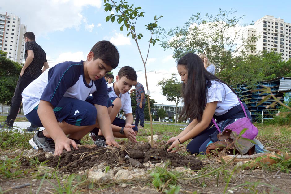 Foto: Divulgação img_8000.jpg