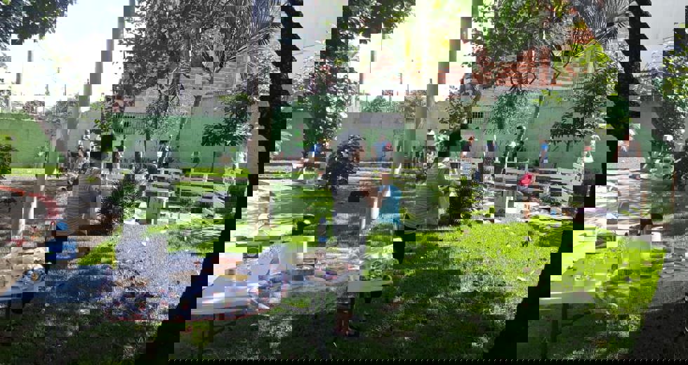 horta-no-bosque-1.jpeg