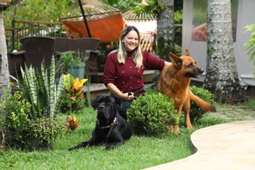 40ª fase do Meu Pet Feliz